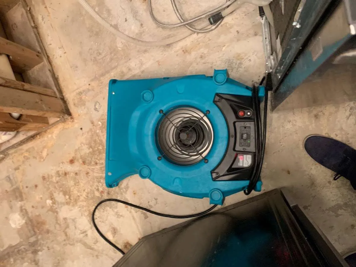 Air mover drying equipment for Mold Remediation & Removal in Westview